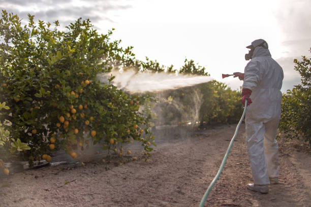 Pest Prevention Services in Trumansburg, NY
