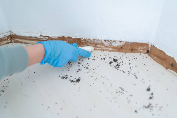 Wildlife Control Services in Trumansburg, NY